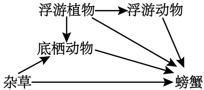 图片_x0020_100004