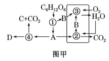 图片_x0020_923322767