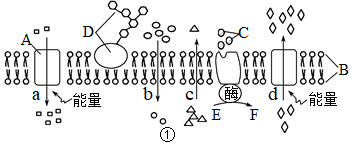 图片_x0020_1545554293