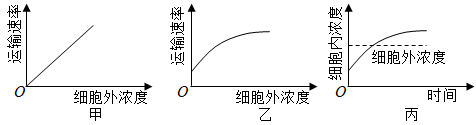 图片_x0020_1347766197