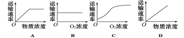 图片_x0020_100021