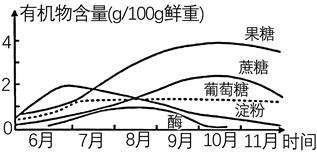 图片_x0020_100002
