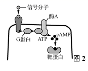 图片_x0020_100011
