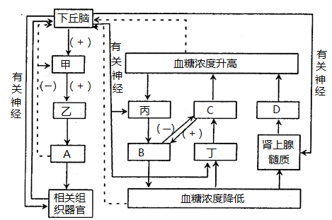 图片_x0020_868460937