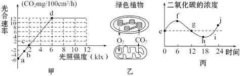图片_x0020_2076986947