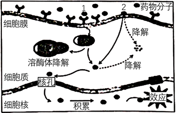 图片_x0020_100007