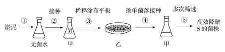 图片_x0020_100012