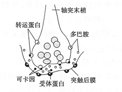 图片_x0020_100003