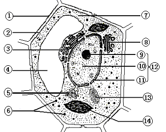 图片_x0020_1980748143