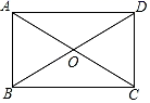 图片_x0020_100013