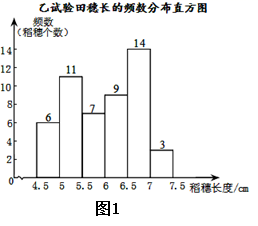 图片_x0020_181311984
