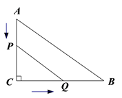 图片_x0020_100016