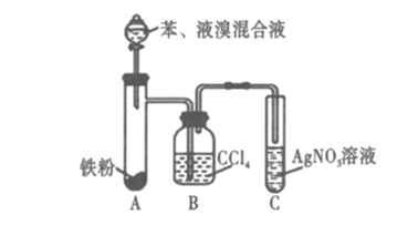 图片_x0020_100049