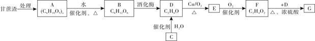 图片_x0020_1248156260