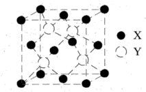 图片_x0020_2061284982
