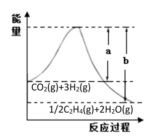 图片_x0020_12706930