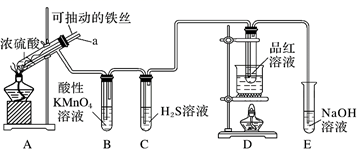 图片_x0020_100024