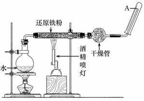 图片_x0020_1550626734