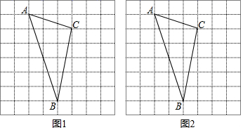 图片_x0020_100016