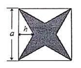 图片_x0020_100010