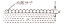 图片_x0020_100015