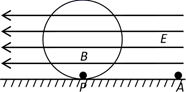 图片_x0020_100014