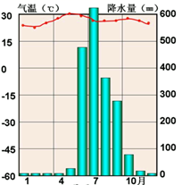 图片_x0020_100015