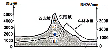 图片_x0020_806500064