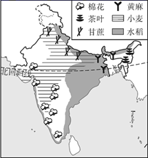 图片_x0020_100012