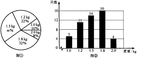 图片_x0020_100022