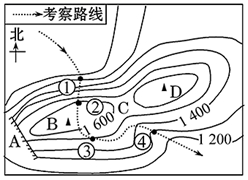 图片_x0020_100022