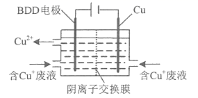 图片_x0020_772668001