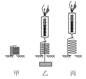 图片_x0020_100022