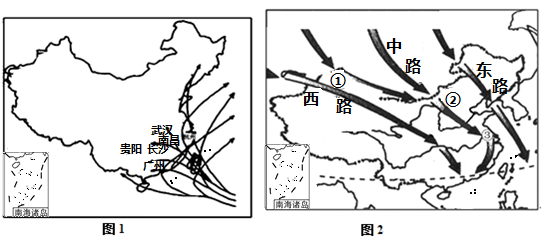 图片_x0020_100017