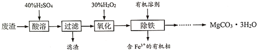 图片_x0020_100047
