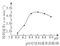 图片_x0020_2099536740