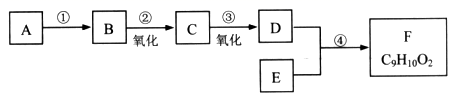 图片_x0020_1945388071
