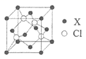图片_x0020_1211361308