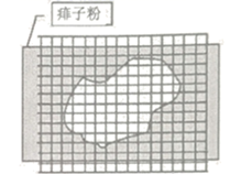 图片_x0020_100017