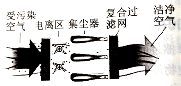 图片_x0020_2058392927