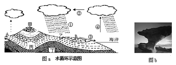 图片_x0020_100019