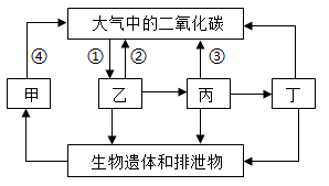 图片_x0020_1315425726