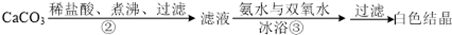 图片_x0020_100024