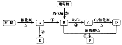 图片_x0020_1124615668