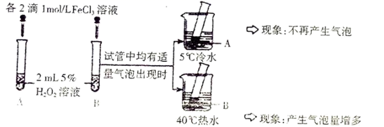 图片_x0020_1515493012