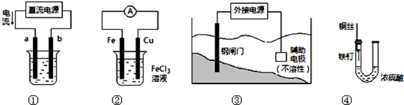 图片_x0020_1297177264