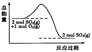 图片_x0020_100018