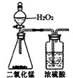 图片_x0020_431799047