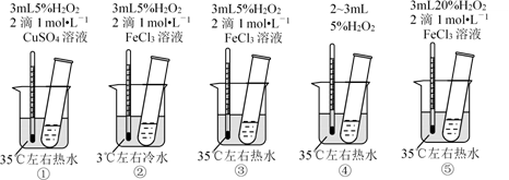图片_x0020_100034