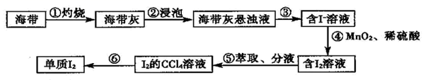 图片_x0020_100019